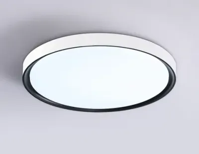 Потолочный светодиодный светильник FZ1247 WH/BK белый/черный IP54 20W 5000K D300*60 (Без ПДУ)