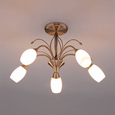 Потолочная люстра со стеклянными плафонами 30280/5