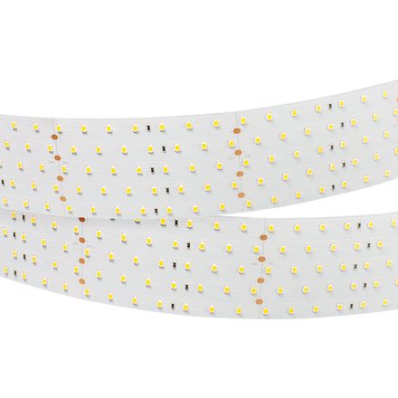 Лента RT 2-2500 24V Day4000 5x2 (2835, 875 LED, LUX) (Arlight, 36 Вт/м, IP20)