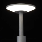 Citilux Dorn CLU05B LED Уличный парковый светильник Графит