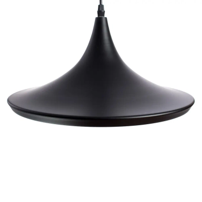 Подвесной светильник Arte Lamp CAPPELLO A3406SP-1BK, 1хE27