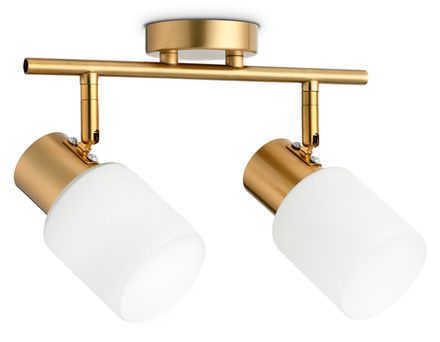 Настенно-потолочный спот TR3969/2 BS/FR латунь/белый матовый  E27*2 max 40W 260*80*210