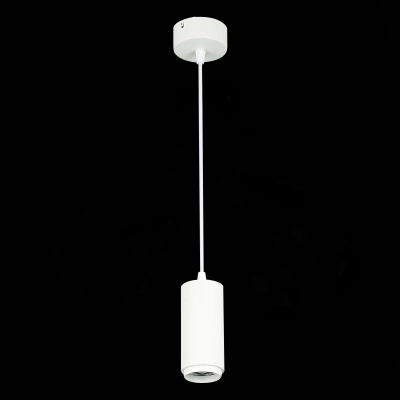 ST600.543.10 Светильник подвесной Zoom Белый LED 1*10W 4000K 1 000Lm Ra>80 15-60° IP20 D59xH130 170-240VV