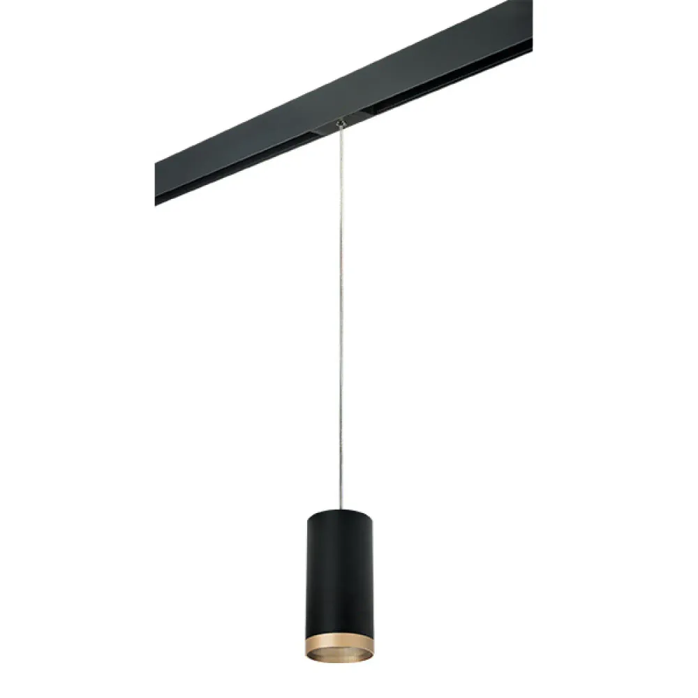 PRORP648790 Светильник д/1-фазн трека RULLO HP16 (216487+595887+203490) Lightstar