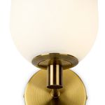 Настенный светильник (бра) Sharlot FR1012WL-01BS, G9х1. TM Maytoni