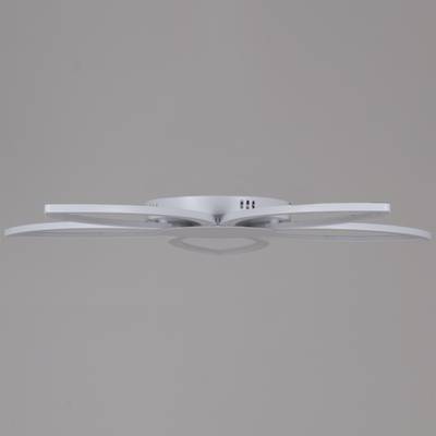 09877-0.3-05 WH светильник потолочный