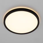 Citilux NORMA CL748241 LED Светильник с подсветкой Чёрный