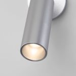 Настенный светодиодный светильник в стиле минимализм 20133/1 LED серебро