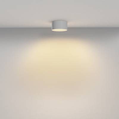 Потолочный светильник Zon 2700K 12Вт 120°, C032CL-12W2.7K-RD-W. TM Maytoni