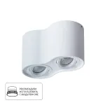 Точечный накладной светильник Arte Lamp FALCON A5645PL-2WH, 2хGU10