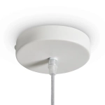 Подвесной светильник FR5555PL-01W, FR5555PL-01W. TM Maytoni