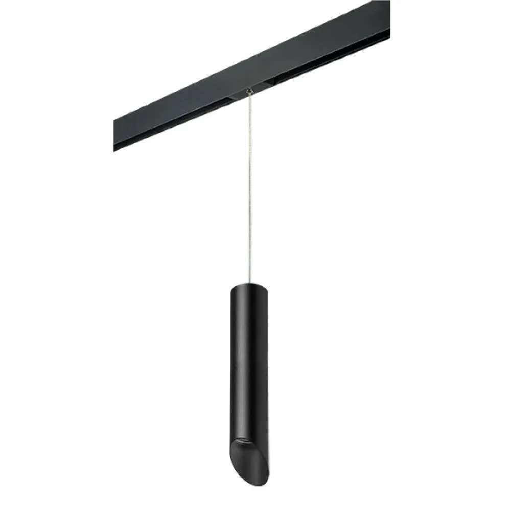 PRORP49737 Светильник д/1-фазн трека RULLO HP16 (214497+595857+201437) Lightstar
