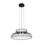 Подвесной светильник Citrus FR5398PL-L6B, LED. TM Maytoni