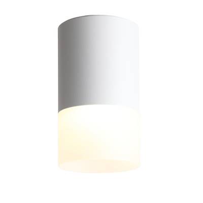 ST100.502.05 Светильник потолочный Белый LED 1*5W 3000K 390Lm Ra&gt;80 120° D64xH110 170-240V