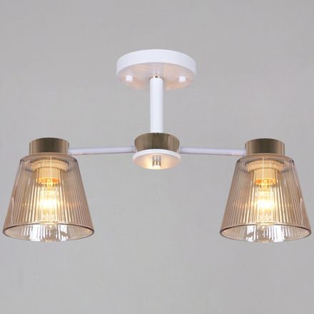 20560-0.3-02 WH+FG светильник потолочный