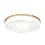 7674/DL PALE SN 152 белый/натуральное дерево LED 48Вт 3000-6000К D388 IP43 пульт ДУ FASS WOOD