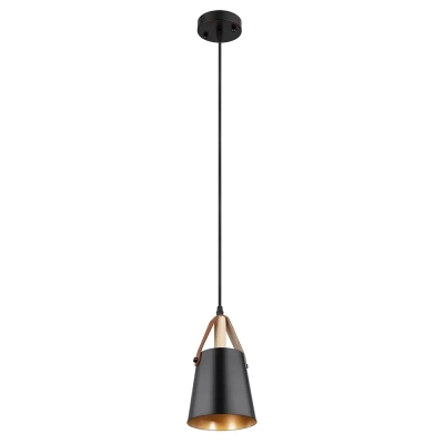 Подвесной светильник Arte Lamp THOMAS A7032SP-1BK, 1хE27