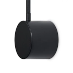Настенный светильник (бра) FR5549WL-L4B, FR5549WL-L4B. TM Maytoni