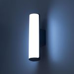 Citilux CLU0007 LED Уличный светильник Графит