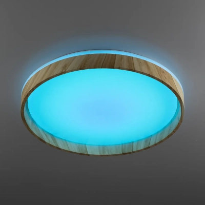 Citilux ENZO CL753452G LED RGB Светильник с пультом Клён