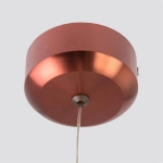 Citilux Вегас CL227013 LED Подвесной светильник Коричневый