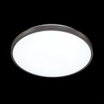3012/DL TAN SN 158 Светильник пластик/черный LED 48Вт 3000-6500K D380 IP43 пульт ДУ/ LampSmart SMALLI