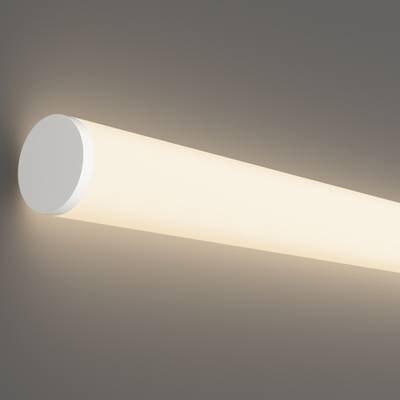 Гибкий неон Nemo D25 48В 12,5Вт/м 4000К IP65 20м 433002. TM Maytoni