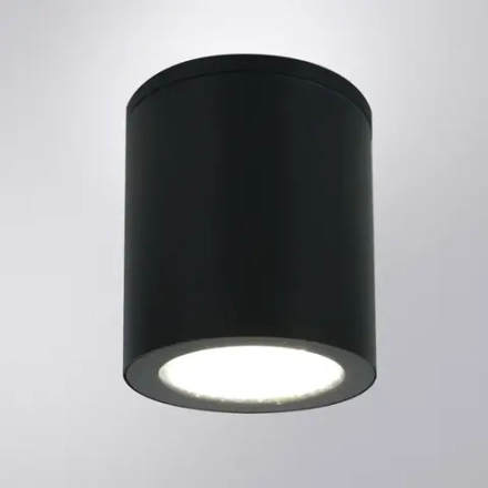 Уличный потолочный светильник Arte Lamp TORCULAR A1813PF-1BK, 1хLED
