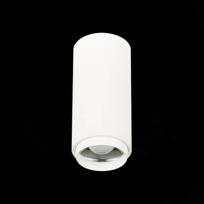 ST600.542.10 Светильник потолочный Zoom Белый LED 1*10W 4000K 1 000Lm Ra&gt;80 15-60° IP20 D59xH130 170-240VV