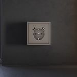 VLS000914 Накладка для розетки с заземлением и защитными шторками, с USB A+A, S70 (капучино). (ТМ Maytoni)