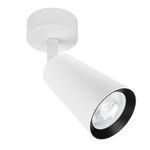 Спот Arte Lamp CINTURA A2352PL-1WH, 1хGU10
