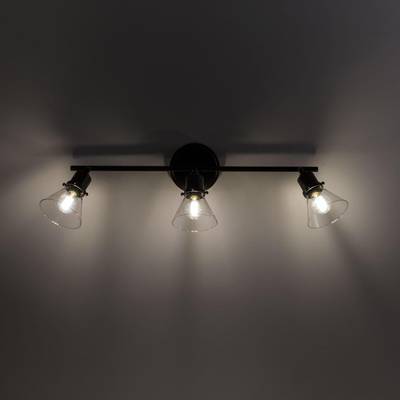 Citilux Трек Бисмарк CL564531 Спот с выключателем Венге