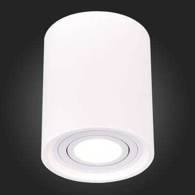 ST156.502.01 Светильник потолочный Белый GU10 1*50W IP20 D100xH120 180-240V Без ламп