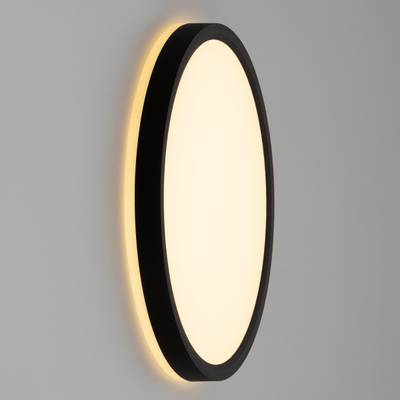 Citilux NORMA CL748241 LED Светильник с подсветкой Чёрный