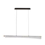Citilux FANNY CL213121 LED Подвесной светильник с пультом