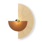 Настенный светильник (бра) Carry FR5487WL-01G4, E27х1. TM Maytoni