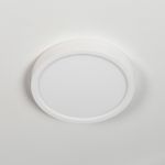 Citilux Бейсик CL738120N Светильник накладной Белый