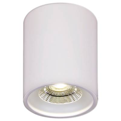 81117-9.5-001RT LED10W WT светильник точ. накладной