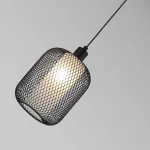 Подвес Tokri 4602-1P, 1*E14*60W. ТМ F-Promo