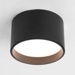 Светильник потолочный светодиодный Banti 13W 4200K черный 25123/LED
