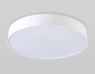 Светильник светодиодный потолочный с пультом FZ1355 WH белый IP20 60W 3000-6500K 490*80 (ПДУ ИК)
