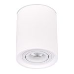 ST156.502.01 Светильник потолочный Белый GU10 1*50W IP20 D100xH120 180-240V Без ламп