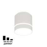 Citilux Борн CL745010N LED Светильник накладной Белый