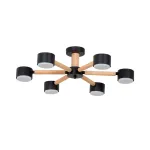 Потолочная люстра Arte Lamp TENDA A1624PL-6BK, 6хGX53