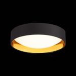 SLE201102-01 Светильник потолочный Черный, Золото/Белый LED 1*24W 4000K