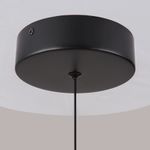 Подвесной светильник Ray P021PL-L10B. ТМ Maytoni