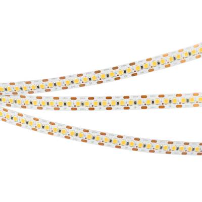 Светодиодная лента RT-A168-10mm 24V Day5000-CX2 (17.3 W/m, IP20, 2835, 5m) (Arlight, -)