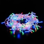 Гирлянда бахрома мульти 3*0,6м IP65 100-101, LED