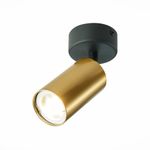 ST303.202.01 Потолочный светильник Золотистый GU10 1*50W  IP20 D70xH168 220V Без ламп