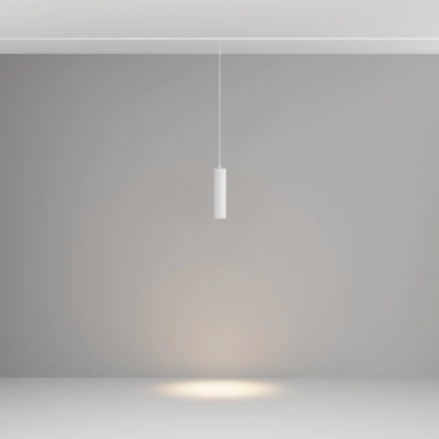 Трековый подвесной светильник Фокус / Focus Led Exility 3000K 12Вт 36°, TR041-2-12W3K-W. TM Maytoni